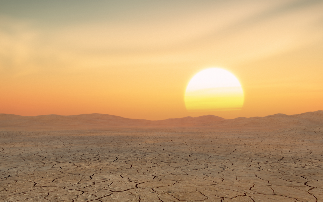 L&rsquo;élément TERRE expliqué